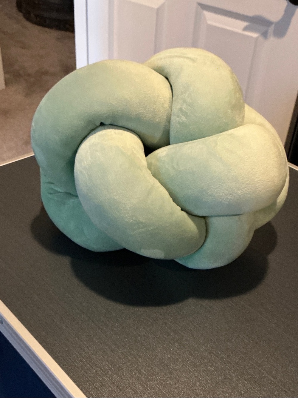 Knot Decorative Pillow in Sage Green